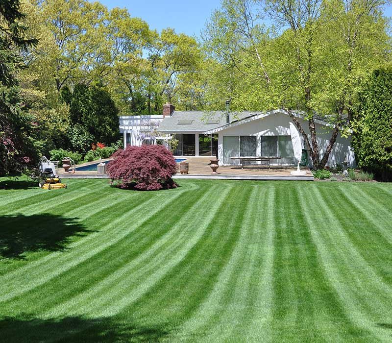 SPRING-HOME-&-GARDEN-CORP-SERVICES-009